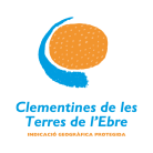 Clementines de les Terres de l'Ebre